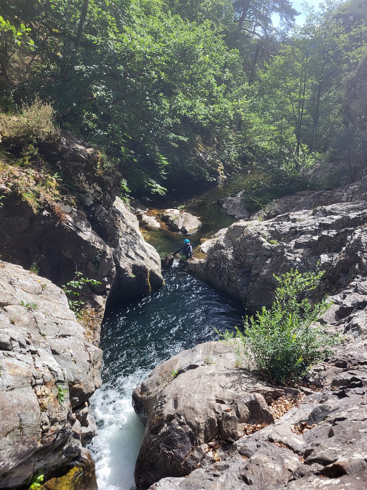 Vasque d'eau verte bordée de forêt dans le canyon du Bramabiau, ambiance préservée des Cévennes