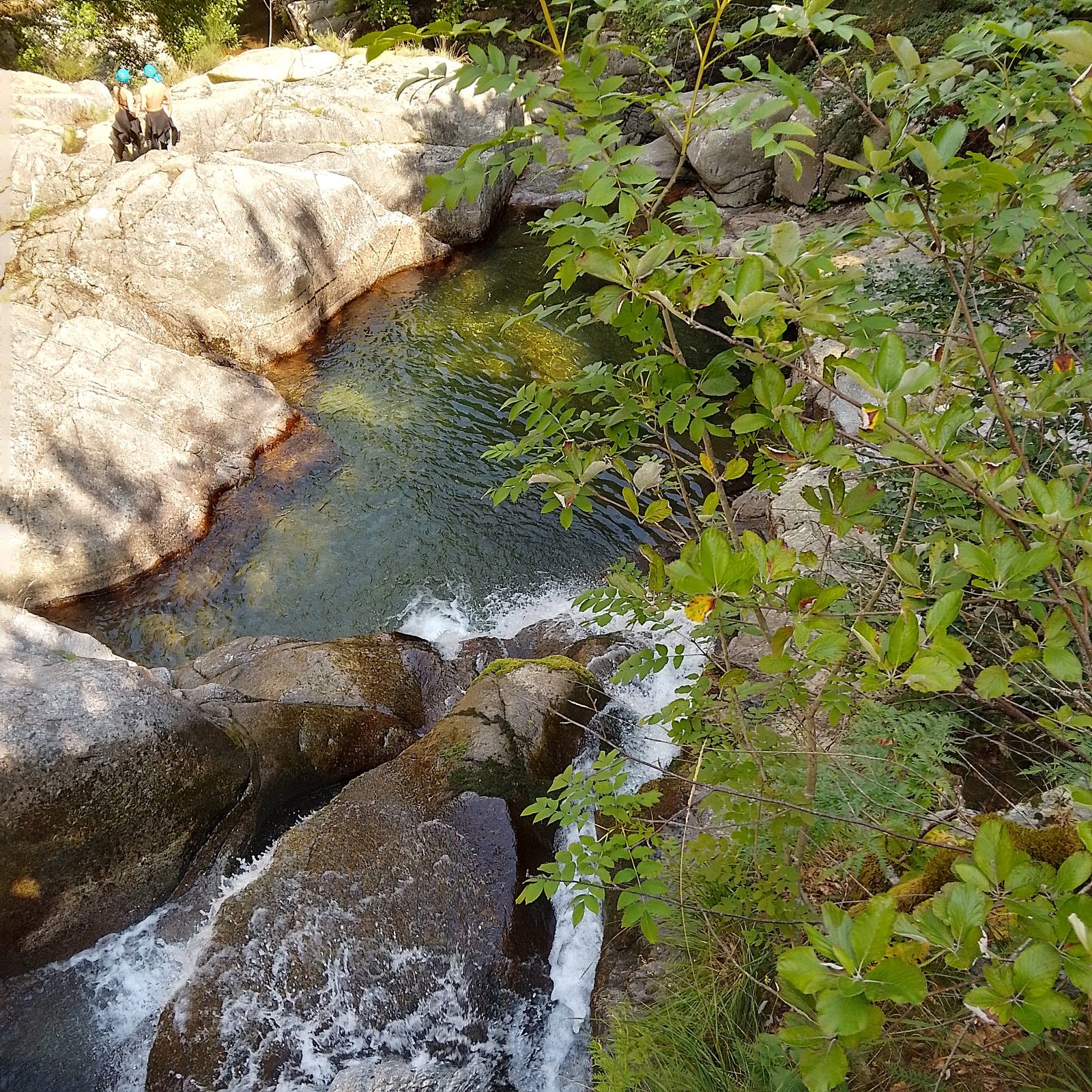 Vasque émeraude du canyon du Tapoul, eau claire des Cévennes