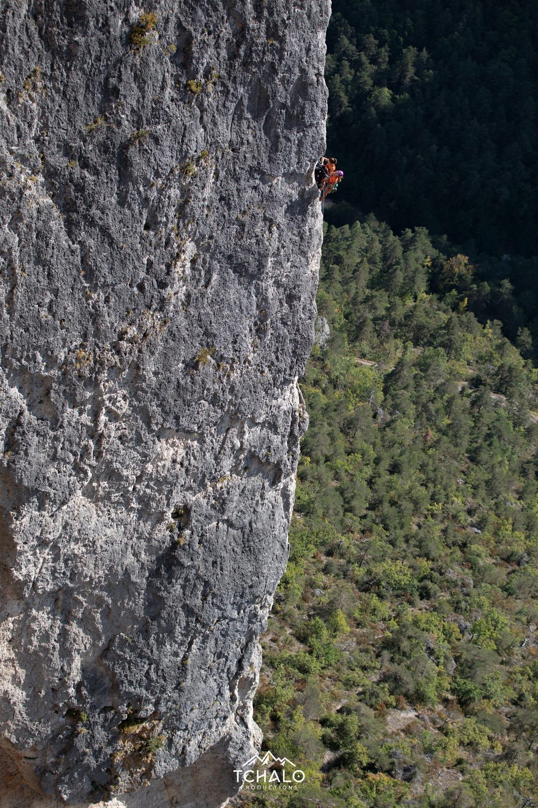 Grimpeur en grande voie sur l'arête ouest de la Jonte, vue verticale sur la falaise calcaire des Cévennes