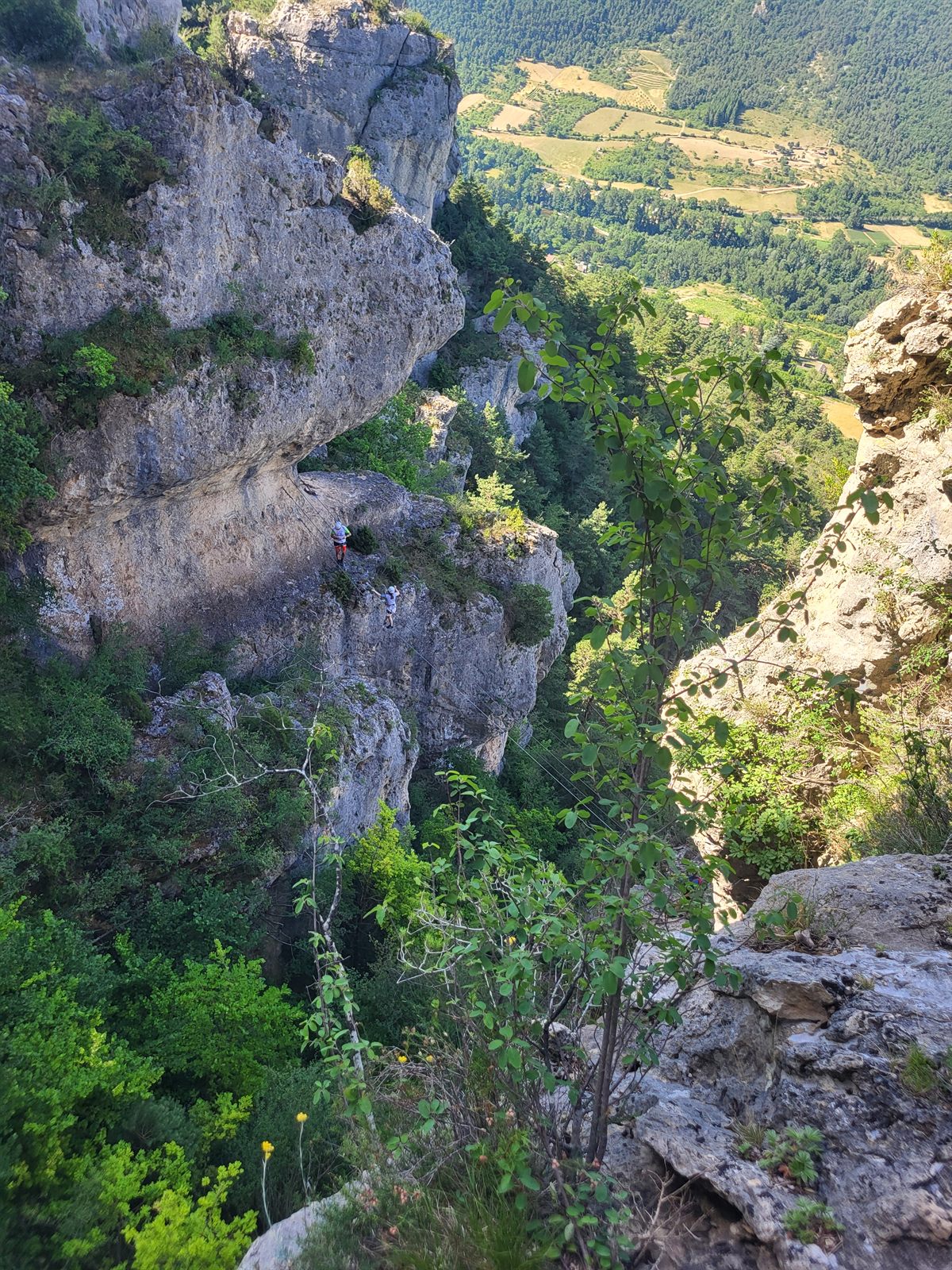 Vue plongeante depuis la via ferrata de Liaucous sur la vallée du Tarn, ses cultures et sa rivière, un grimpeur sur la vire calcaire près de Millau